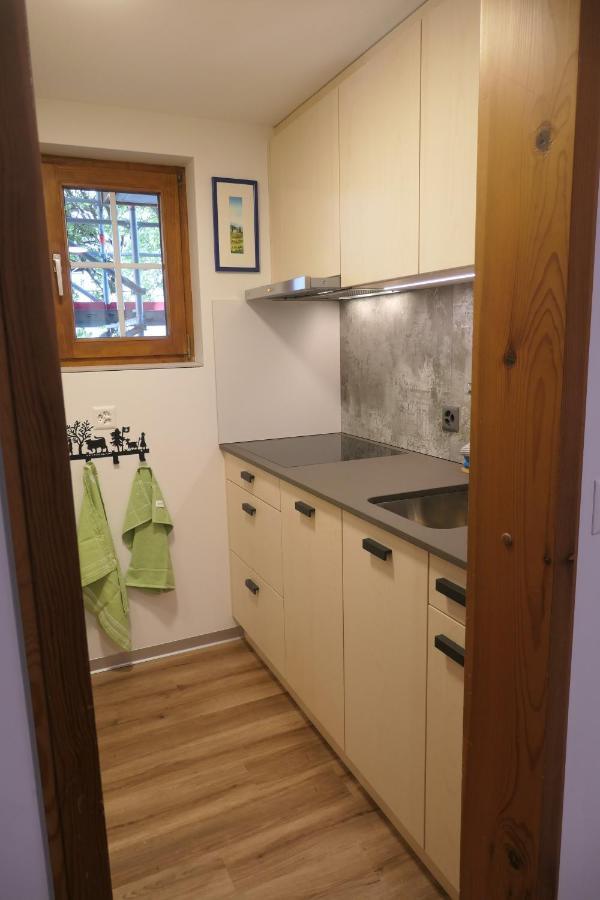 Valeria Apartment Saas-Fee